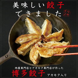 博多餃子アカモク入り　48個【マサエイ水産加工】_HA0580 送料無料