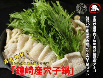 鐘崎産天然穴子鍋セット（2〜3人前）【TonkoyaCompany】_HA0487 送料無料