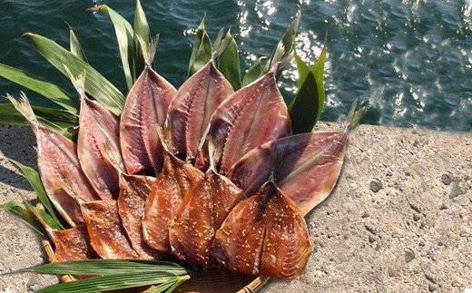 宗像大島で獲れた「鮮魚の干物」の詰め合わせセット【10〜11枚】【JAほたるの里】_HA0264 送料無料