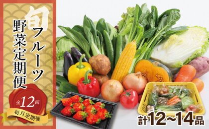 【定期便／年12回／毎月お届け】むなかた旬のお任せセット(野菜・フルーツ／12〜14品)【ほたるの里】_HB0028 送料無料