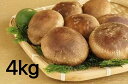 【ふるさと納税】【一週間以内に発送】生しいたけ 肉厚シイタケ 無農薬 菌床栽培 4kg【ハタモト農産】_HA1004 送料無料 福岡県 宗像市 新鮮 安全 安心...