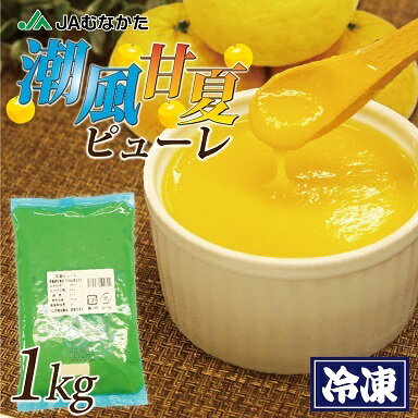 潮風甘夏ピューレ1kg(冷凍)【ほたるの里】_HA1031 送料無料