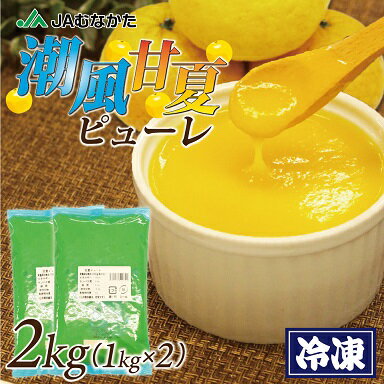 潮風甘夏ピューレ2kg(冷凍)【ほたるの里】_HA1032 送料無料