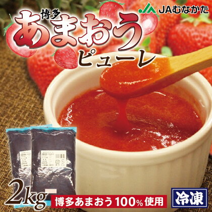 冷凍「博多あまおうピューレ」1kg×2袋【JAほたるの里】_HA1045　送料無料