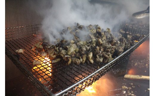 むなかた鶏肩肉使用やわらか鶏の炭火焼[道の駅むなかた]_HA0721 送料無料