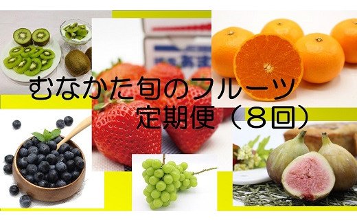 【ふるさと納税】【定期便/年8回/旬のフルーツを...の商品画像