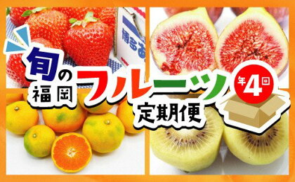 【定期便/年4回】旬の福岡フルーツ定期便【ほたるの里】_HB0087 送料無料