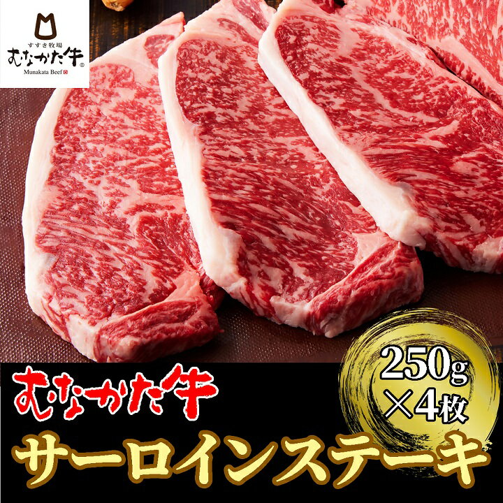 むなかた牛サーロインステーキ 1kg(250g×4枚)【すすき牧場】_HA1262　送料無料