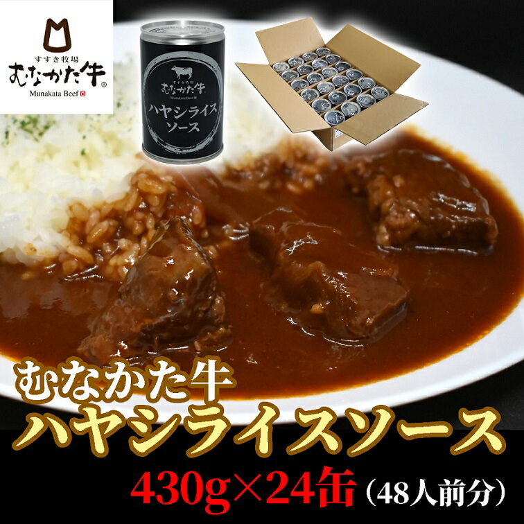 むなかた牛ハヤシライスソース 24缶(48人前分)【すすき牧場】_HA1268　送料無料