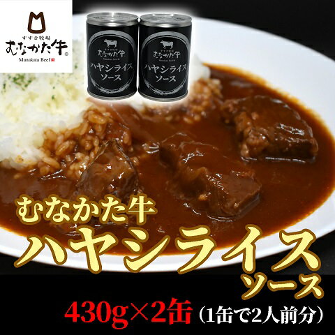 むなかた牛 銀のハヤシライスソース2缶[すすき牧場]_HA1273 送料無料