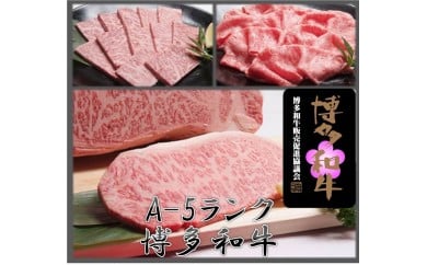 [A5ランク]博多和牛三昧セット(サーロインステーキ/しゃぶしゃぶ・すき焼き/焼肉)[伊豆丸商店]_HA0182 送料無料