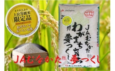 【定期便／年12回／毎月お届け】夢つくし定期便(10kg×12か月）【JAむなかたお米パール店】_HB0133　送料無料