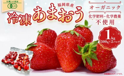 オーガニック冷凍あまおう 1kg (500g×2パック)【伊世いちご畑】_HA1315 送料無料