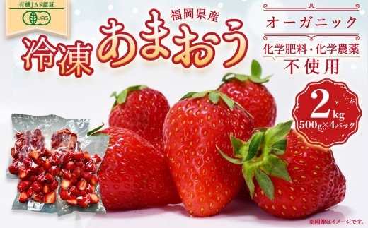 【ふるさと納税】オーガニック冷凍あまおう 2kg (500g×4パック)【伊世いちご畑】_HA1316 送料無料