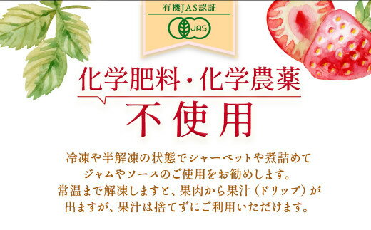 【ふるさと納税】オーガニック冷凍あまおう 3kg (500g×6パック)【伊世いちご畑】_HA1317 送料無料