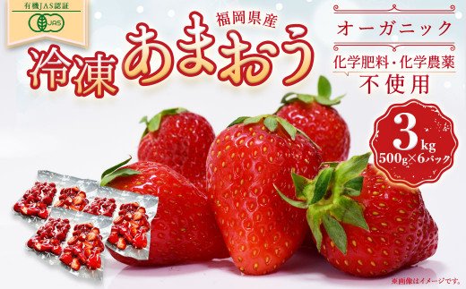 【ふるさと納税】オーガニック冷凍あまおう 3kg (500g×6パック)【伊世いちご畑】_HA1317 送料無料