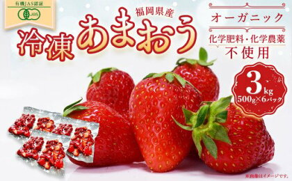 オーガニック冷凍あまおう 3kg (500g×6パック)【伊世いちご畑】_HA1317 送料無料