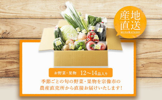 【ふるさと納税】【12〜14品】むなかた 旬 の お任せ セット(野菜・フルーツ)【JAほたるの里】_HA0262 送料無料