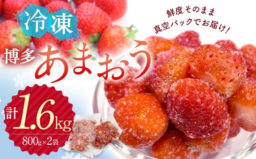 【ふるさと納税】冷凍 博多あまおう 大容量 800g×2 計1.6kg【JAほたるの里】_HA0266 送料無料