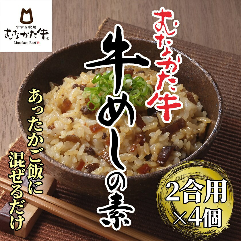 むなかた牛　牛めしの素　4個セット【すすき牧場】_HA1348　送料無料