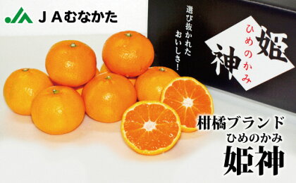 急速冷凍！冷凍みかん JAむなかた柑橘ブランド｢姫の神｣2kg 甘くておいしいみかん【JAほたるの里】_HA0269　送料無料