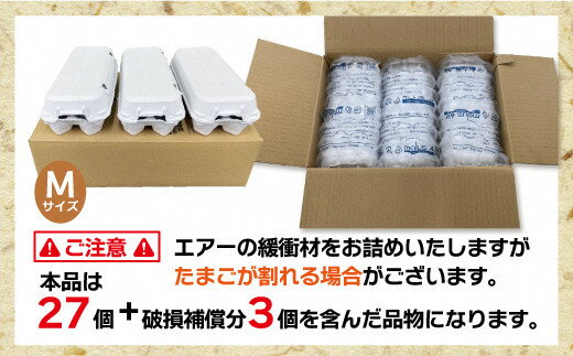 【ふるさと納税】JAむなかたよりお届け！宗像たまご30個（27個＋補償3個）【JAほたるの里】_HA0915　送料無料