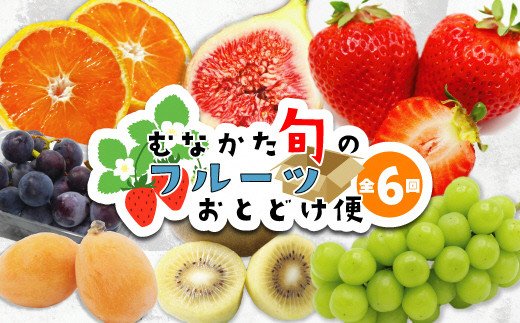 【ふるさと納税】【定期便/年6回】むなかた旬のフルーツ6回定期便【ほたるの里】_HB0090 送料無料