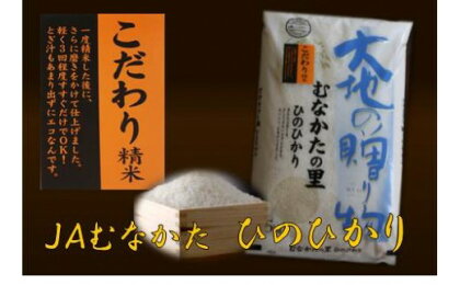 【定期便/年6回/奇数月にお届け】ヒノヒカリ定期便(5kg×6か月)【JAむなかたお米パール店】_HB0138 送料無料