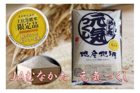【ふるさと納税】【定期便／年12回／毎月お届け】元気つくし定期便(5kg×12か月）【JAむなかたお米パール店】_HB0131　送料無料のサムネイル