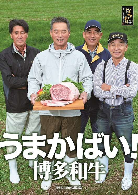 【ふるさと納税】【A5ランク】博多和牛サーロインブロック1.0kg（ジャポネソース付）【伊豆丸商店】_KA0181 送料無料