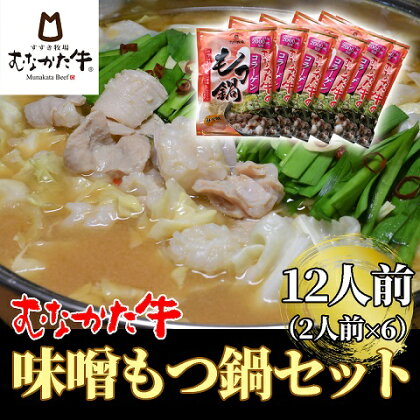 むなかた牛味噌もつ鍋セット2人前×6【すすき牧場】_HA1459 送料無料