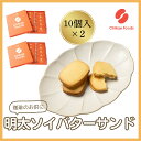【ふるさと納税】明太ソイバターサンド(10枚入り×2箱)【ちかえフーズ】_HA1670 送料無料おつまみ おやつ