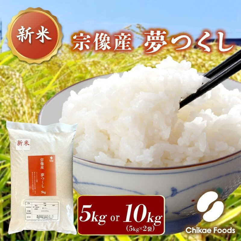 宗像産 夢つくし 5kg 10kg[ちかえフーズ]米 白米 おいしい 福岡県 宗像市 宗像産 夢つくし 5kg 5キロ 10kg 10キロ
