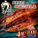 【ふるさと納税】【レビューCP対象】数量限定!うなぎ蒲焼き4尾セット(約250g×4尾セット)【魚住商店】_HA1494 限定 特上 鰻 ウナギ 人気 特大 炭...
