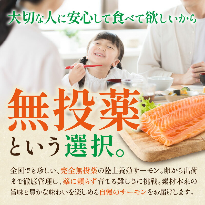 【ふるさと納税】＜選べる内容量＞無投薬 国産 トラウトサーモン 小分け 400g 600g 1000g【宗像陸上養殖】 サーモン 鮭 刺し身 刺身 ふるさと納税 ふるさと 冷凍 海鮮 福岡県宗像市 福岡県 宗像市 f402206-munakata-10002783 福岡県宗像市 サンプル画像2