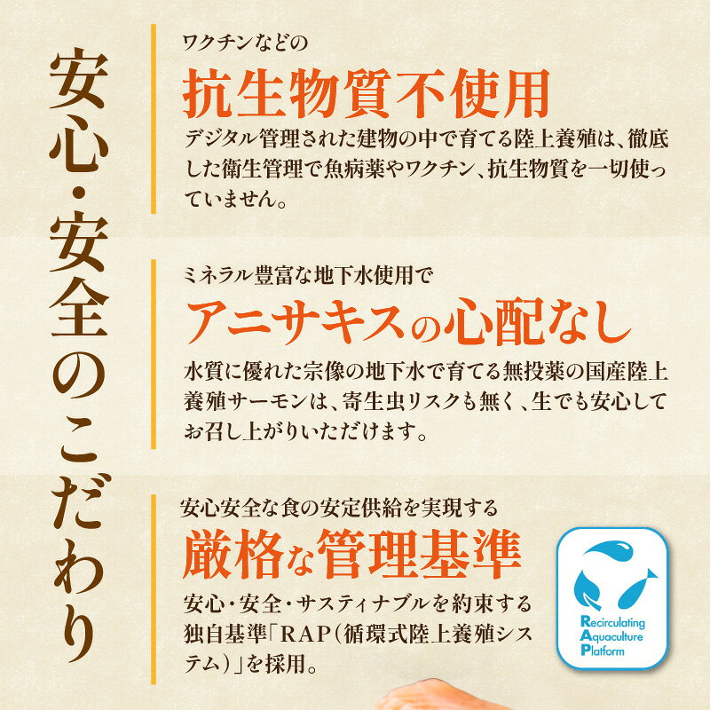 【ふるさと納税】＜選べる内容量＞無投薬 国産 トラウトサーモン 小分け 400g 600g 1000g【宗像陸上養殖】 サーモン 鮭 刺し身 刺身 ふるさと納税 ふるさと 冷凍 海鮮 福岡県宗像市 福岡県 宗像市 f402206-munakata-10002783 福岡県宗像市 サンプル画像3