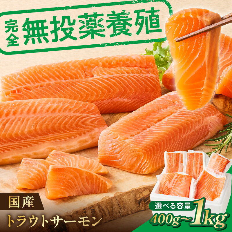 ＜選べる内容量＞無投薬 国産 トラウトサーモン 小分け 400g 600g 1000g【宗像陸上養殖】 サーモン 鮭 刺し身 刺身 ふるさと納税 ふるさと 冷凍 海鮮 福岡県宗像市 福岡県 宗像市