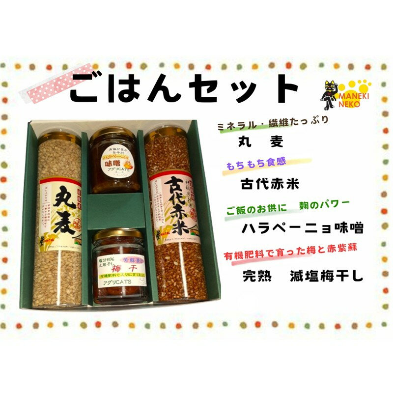 [一週間以内に発送][ギフト]ごはんセット[アグリCATS] 丸麦 赤米 梅干し 味噌 加工品 麦ごはん ご飯のお供 無添加 農薬不使用 宗像 福岡