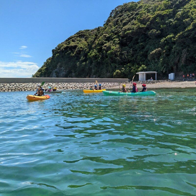 【ふるさと納税】海洋体験施設うみんぐ大島 シーカヤック体験1名様分【(株)むなかた大島】_HA2024 体験 チケット 福岡県宗像市 宗像市 福岡 宗像 ふるさと納税 体験 f402206-munakata-10002834 福岡県宗像市 サンプル画像3