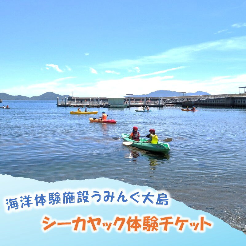 海洋体験施設うみんぐ大島 シーカヤック体験1名様分[(株)むなかた大島]_HA2024 体験 チケット 福岡県宗像市 宗像市 福岡 宗像 ふるさと納税 体験