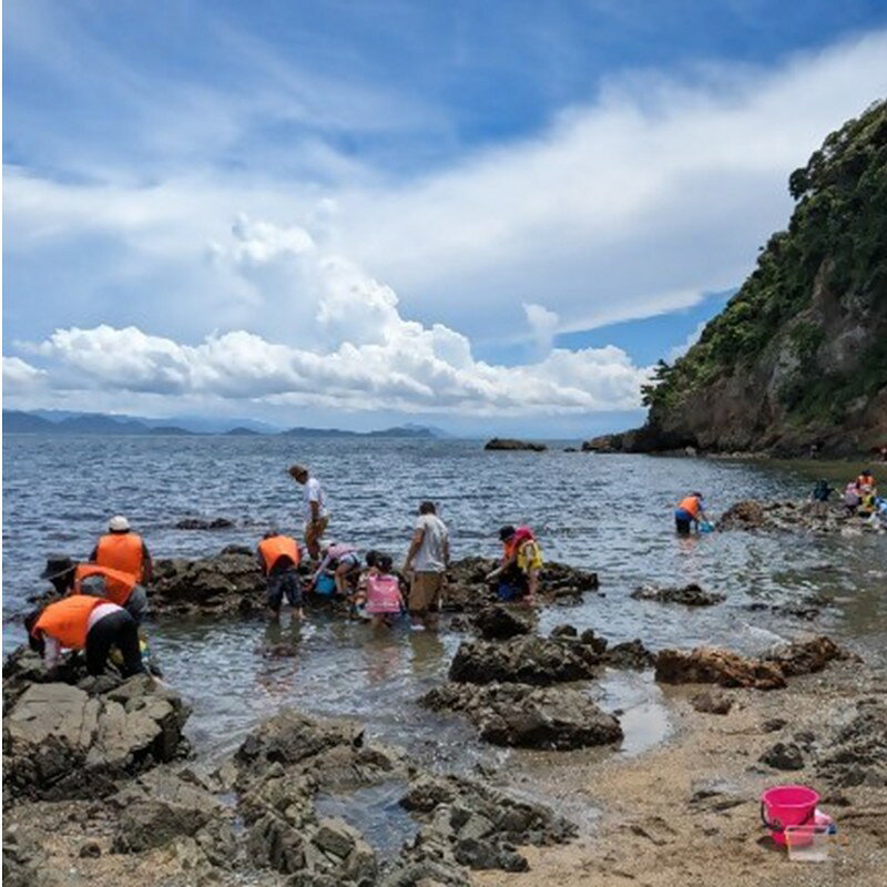 【ふるさと納税】海洋体験施設うみんぐ大島 磯観察1名様分【(株)むなかた大島】_HA2026 体験 チケット 福岡県宗像市 宗像市 福岡 宗像 f402206-munakata-10002836 福岡県宗像市 サンプル画像3