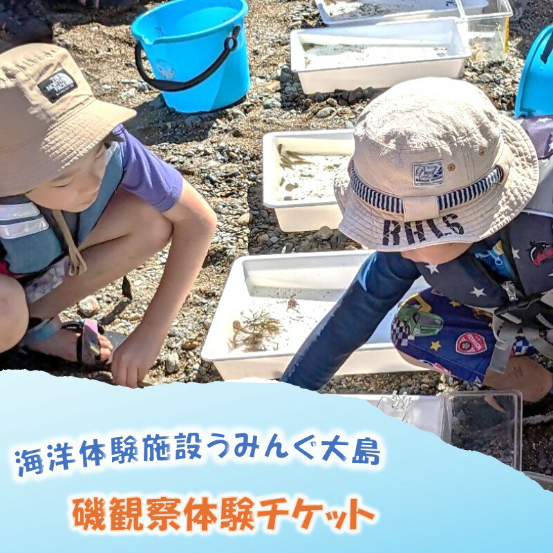 海洋体験施設うみんぐ大島 磯観察1名様分[(株)むなかた大島]_HA2026 体験 チケット 福岡県宗像市 宗像市 福岡 宗像