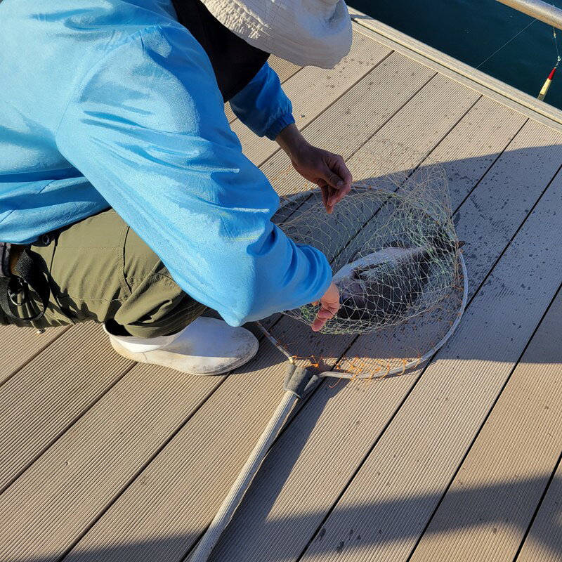 【ふるさと納税】海洋体験施設うみんぐ大島 魚捌き教室体験1名様分【(株)むなかた大島】_HA2027 体験 チケット 福岡県宗像市 宗像市 福岡 宗像 ふるさと納税 体験