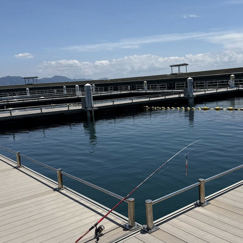 【ふるさと納税】海洋体験施設うみんぐ大島 釣堀体験1名様分【(株)むなかた大島】_HA2029 体験 チケット 福岡県宗像市 宗像市 福岡 宗像 f402206-munakata-10002839 福岡県宗像市 サンプル画像3