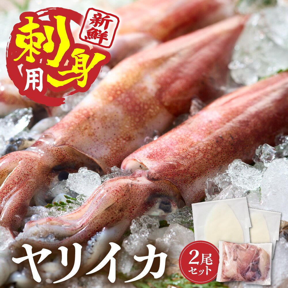 刺身用 新鮮ヤリイカ2杯セット(宗像鐘崎産)[マルケイ水産]_HA0416 イカ 烏賊 生食 刺身 ゲソ 処理済み 冷凍 宗像 福岡