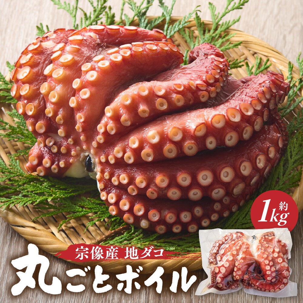 宗像産地ダコ丸ごとボイル【約1kg】【マルケイ水産】_AS0997-00 送料無料福岡県 宗像市 新鮮 お刺身 タコ たこ刺し タコ料理 酒の肴 アレンジ
