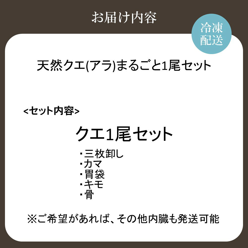【ふるさと納税】天然クエ（アラ）まるごと1尾セット（約3kg）【マルケイ水産】_HA...