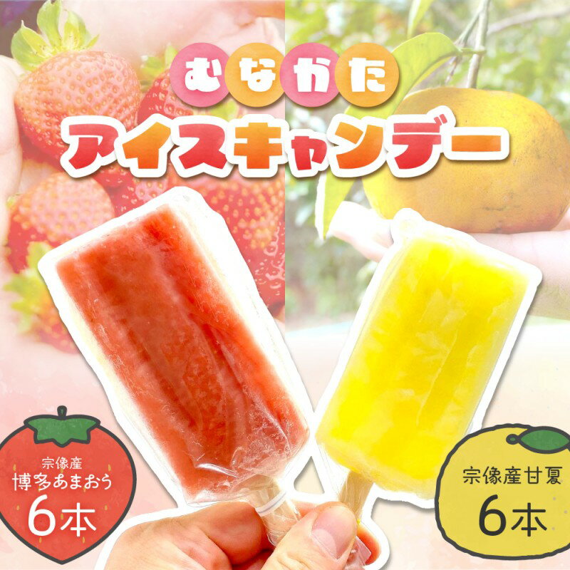 【ふるさと納税】【道の駅むなかた】 むなかたアイスキャンデー（宗像産 博多あまおう／宗像産 甘夏）..