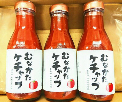 【ふるさと納税】むなかたケチャップ　5本セット【道の駅むなかた】_HA0443　送料無料調味料 着色料・保存料不使用 宗像産 濃厚 リピーター続出 トマトソース オムライス パスタソース