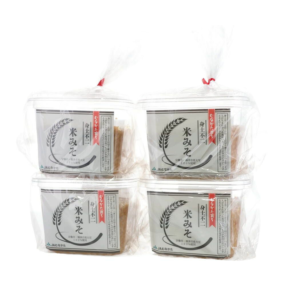 【ふるさと納税】米みそ600g×4【JAむなかた直販課】_HA2003 味噌 みそ 米味噌 発酵 福岡県宗像市 宗像市 福岡 宗像 f402206-munakata-10002803 福岡県宗像市 サンプル画像2